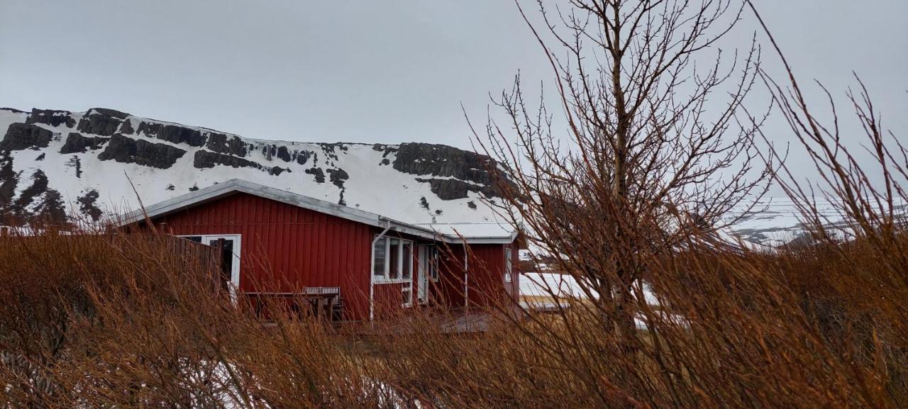 Aegisholt Privete House With Hot Tub Apartment Patreksfjordur Exterior photo